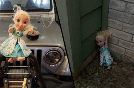 Patung Elsa kembali ke rumah tuannya selepas dibuang
