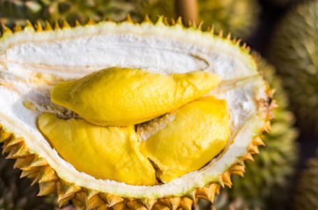 Fakta menarik tentang durian