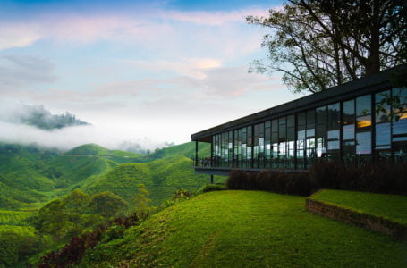 Ladang Teh BOH Habu Tempat ‘OOTD’ Tercantik di Cameron Highlands