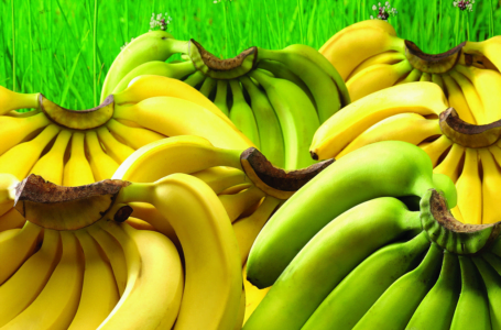 Nak makan pisang dengan sihat? Korang perlu ada ilmu!