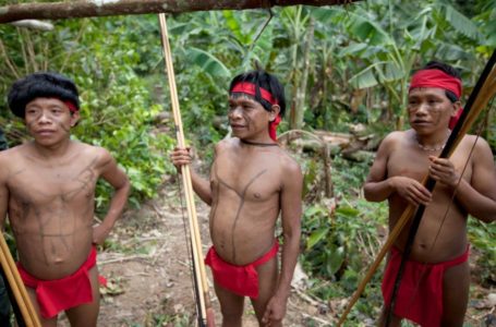 Makan Abu Mayat, Ritual Tradisi Puak Yanomami