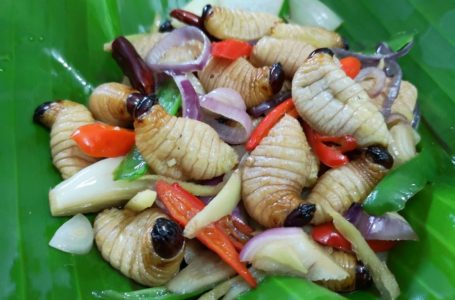 5 Makanan Eksotik Di Malaysia