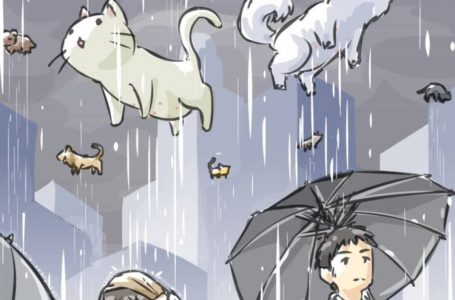 Hujan Daging? 6 Kejadian Hujan Aneh Di Seluruh Dunia