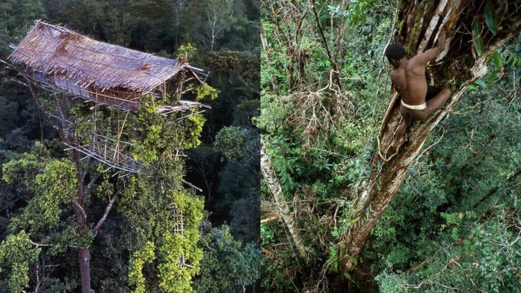 Suku Ini Percaya Makin Tinggi Rumah, Makin Selamat Dari ...