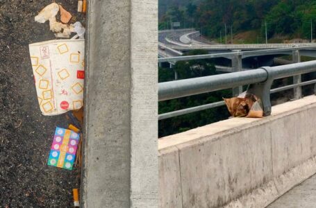 Baru Je Buka, Highway Tertinggi Malaysia Dah Dicemari Sampah