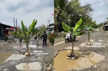 Stress Tunggu Jalan Rosak Tak Dibaiki, Penduduk Kampung Pakat Tanam Pokok Pisang Tengah Jalan